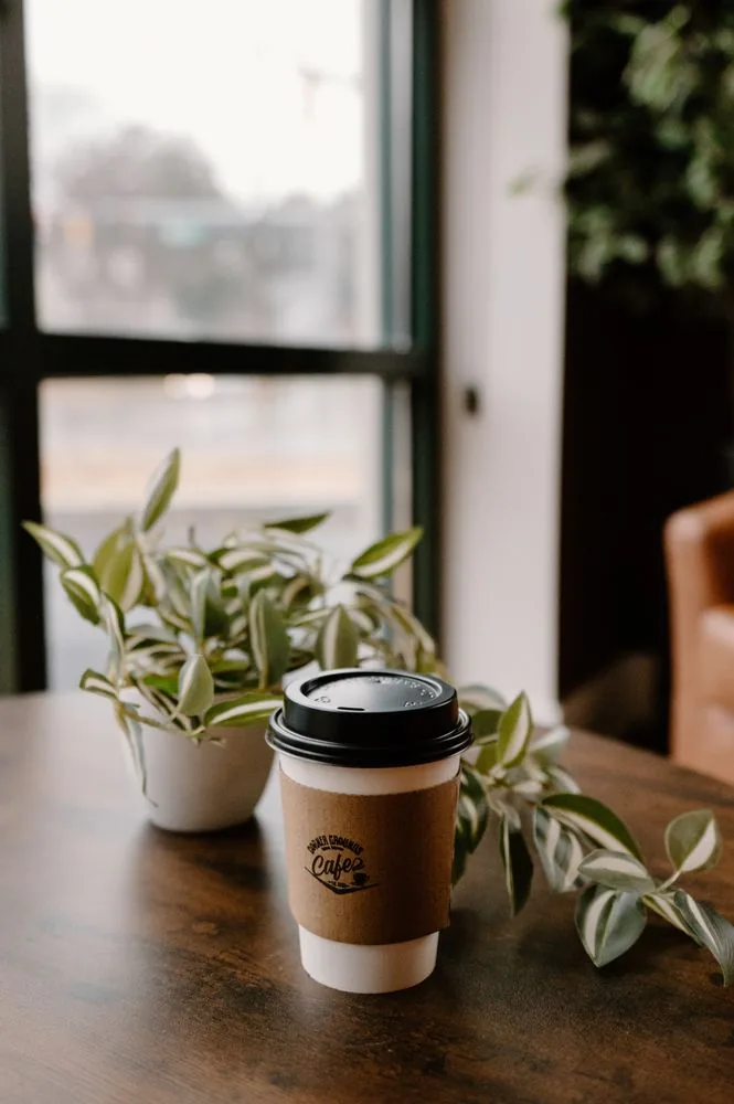 Corner Grounds Café takeaway coffee beside greenery and a sunlit window