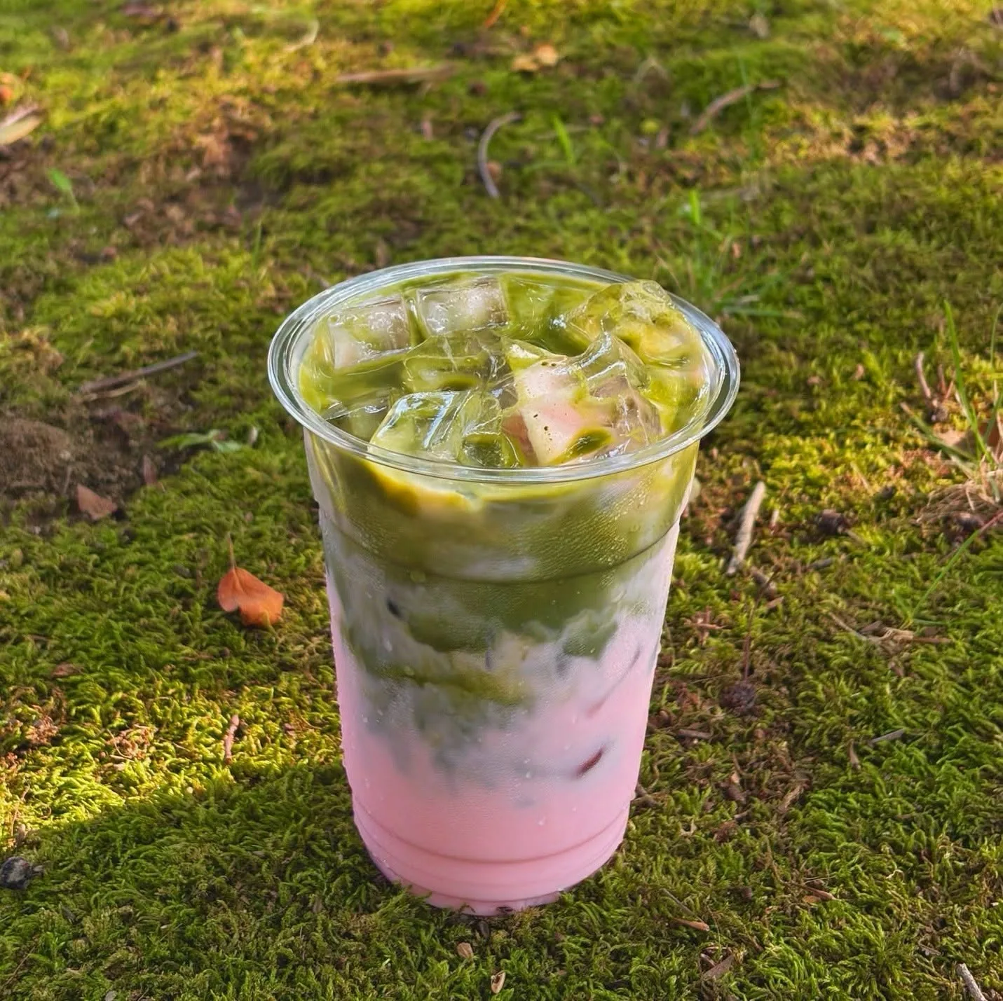 Layered strawberry and matcha iced drink in a clear cup